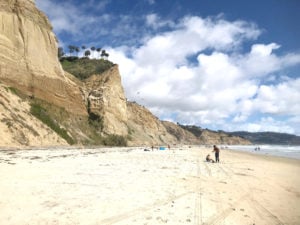 9 Beautiful Beaches in La Jolla California You Have to Experience