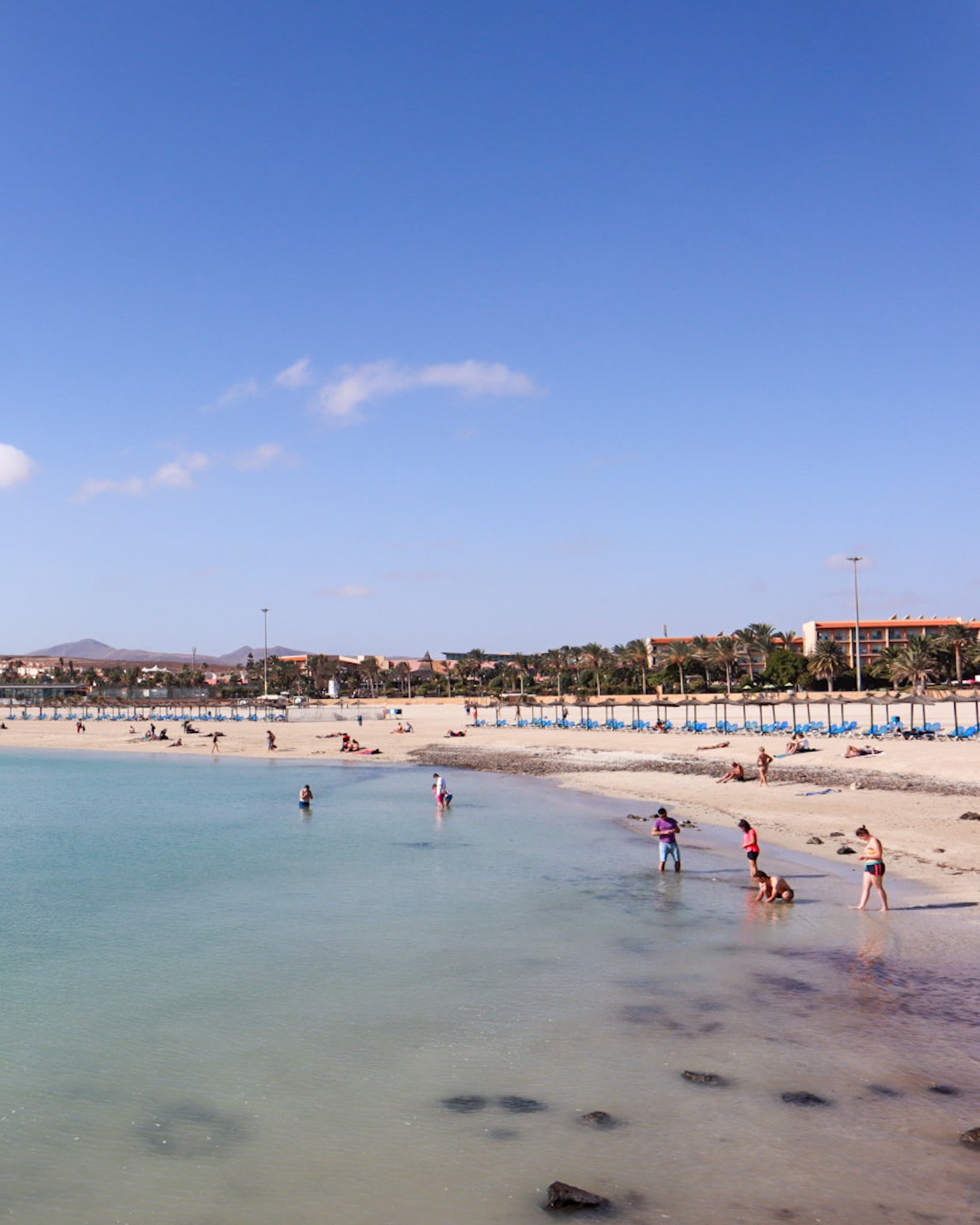 22 Fun Things to do in Fuerteventura Spain