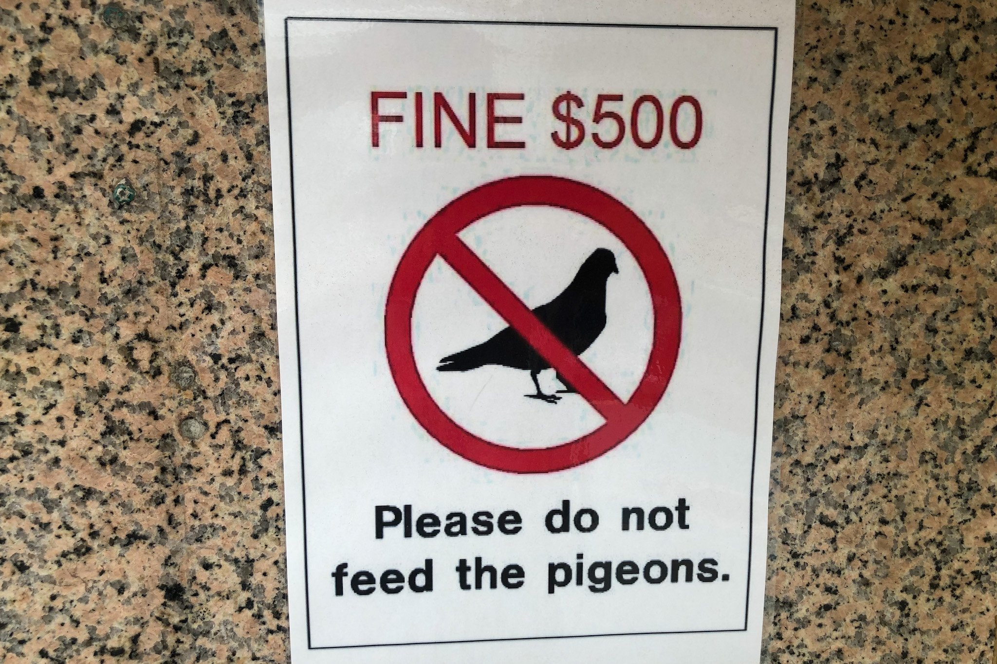 15 Weird, Strange, & Crazy Singapore Laws You've Never Heard of