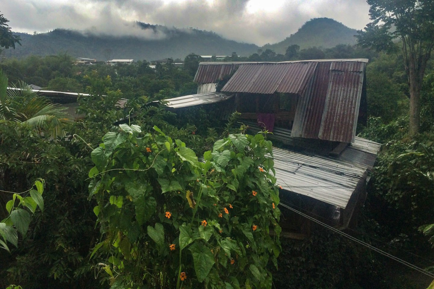 Mindo Ecuador