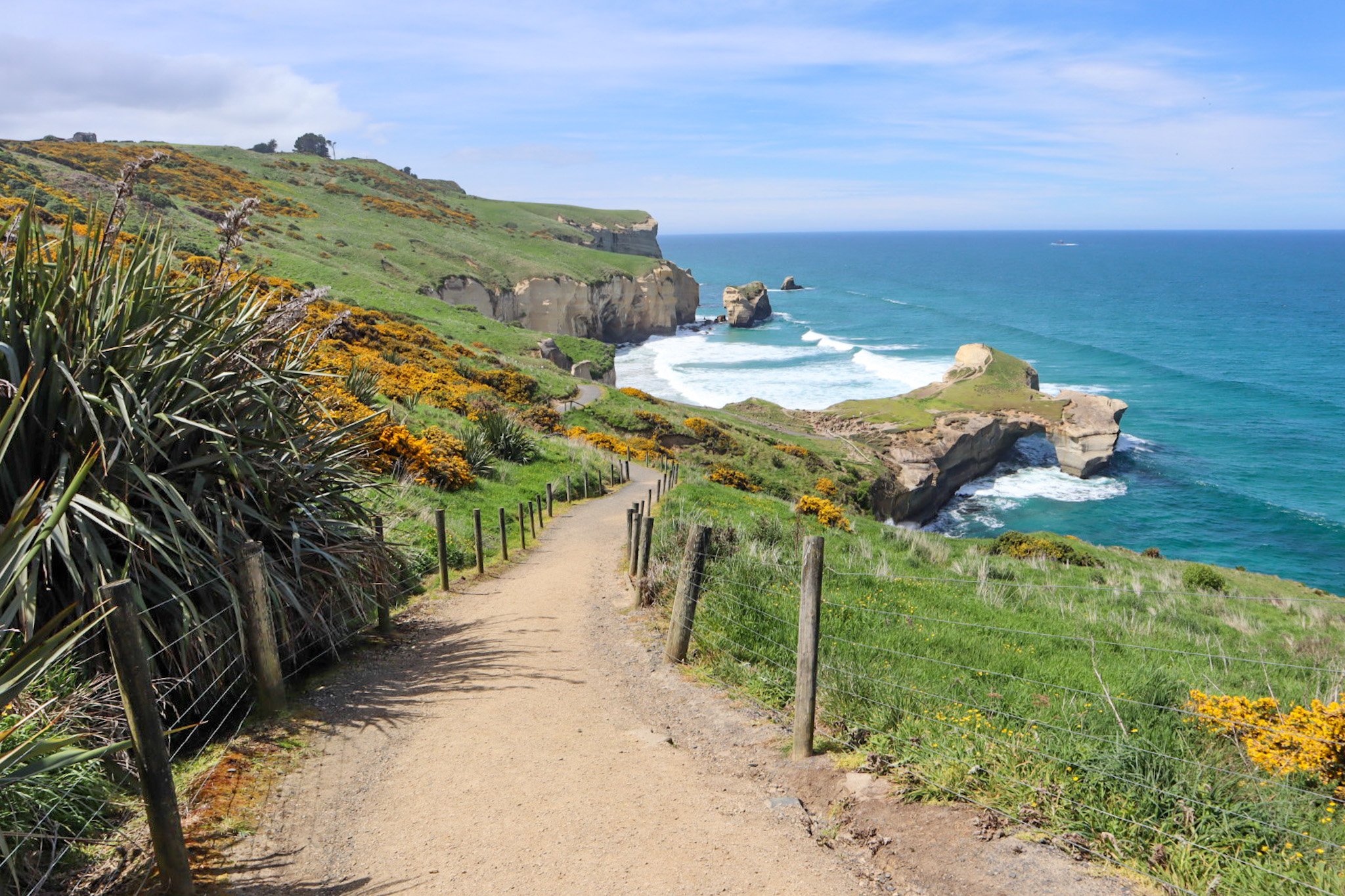 Tunnel Beach New Zealand Dunedin's Stunning Walking Track