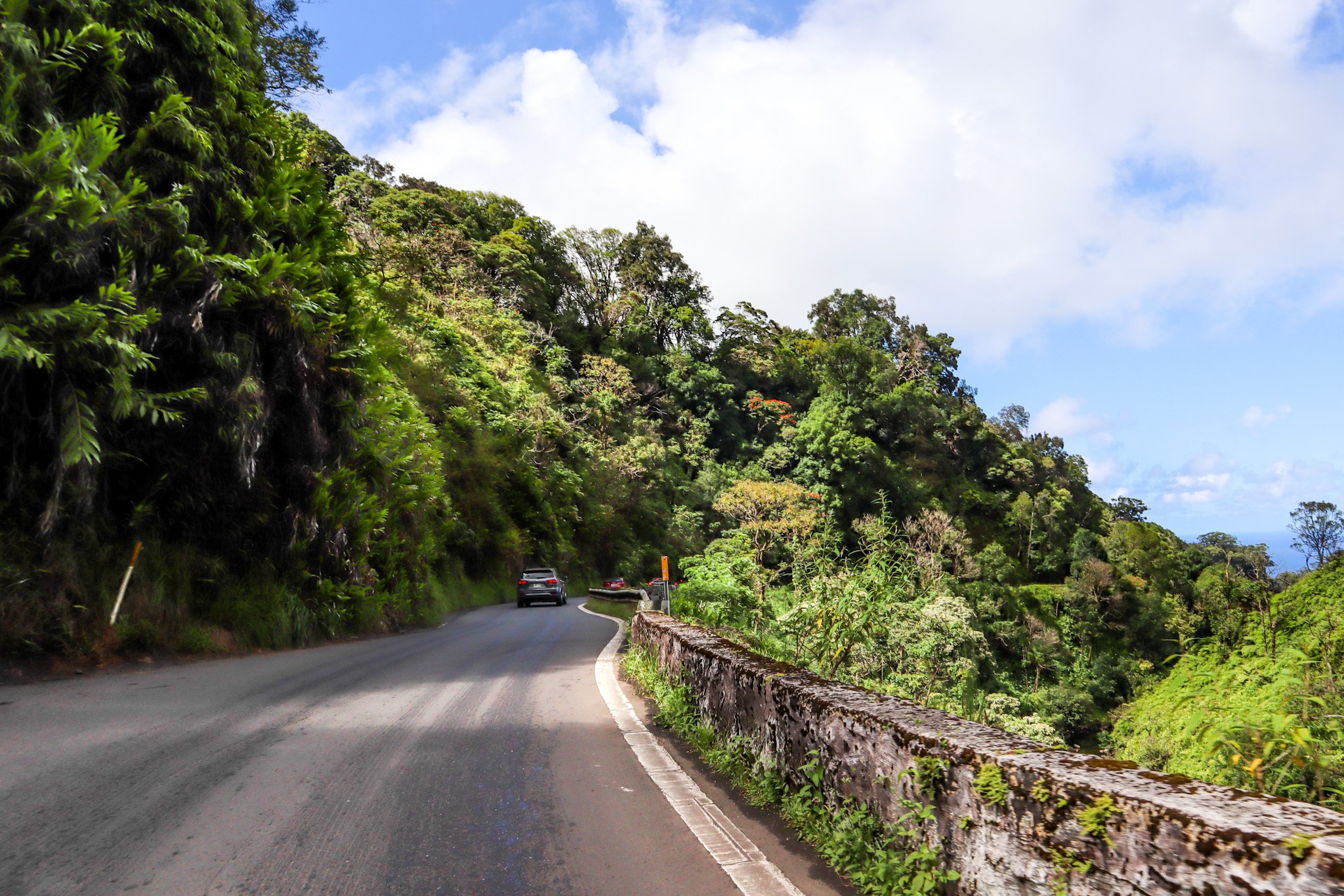 10 Helpful Road to Hana Tips For Maui's Most Famous Drive