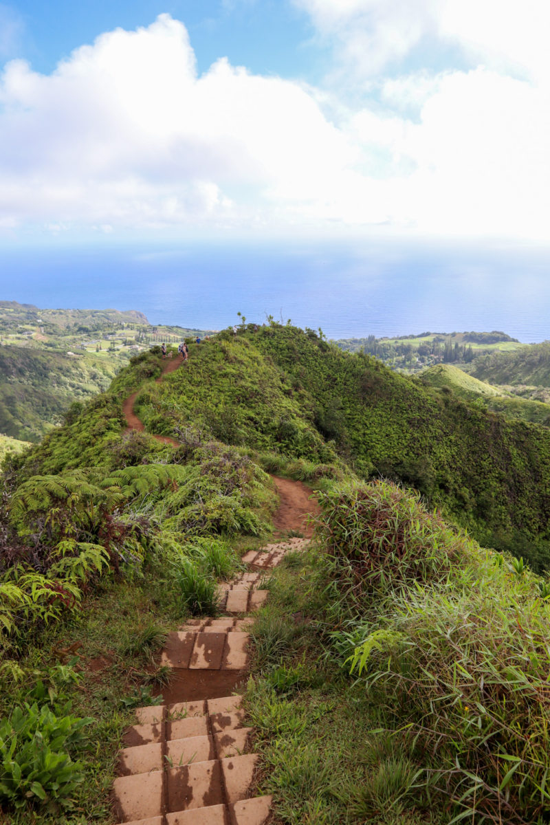 Waihee Ridge Trail: Why It's the Maui Hike You Can't Miss!