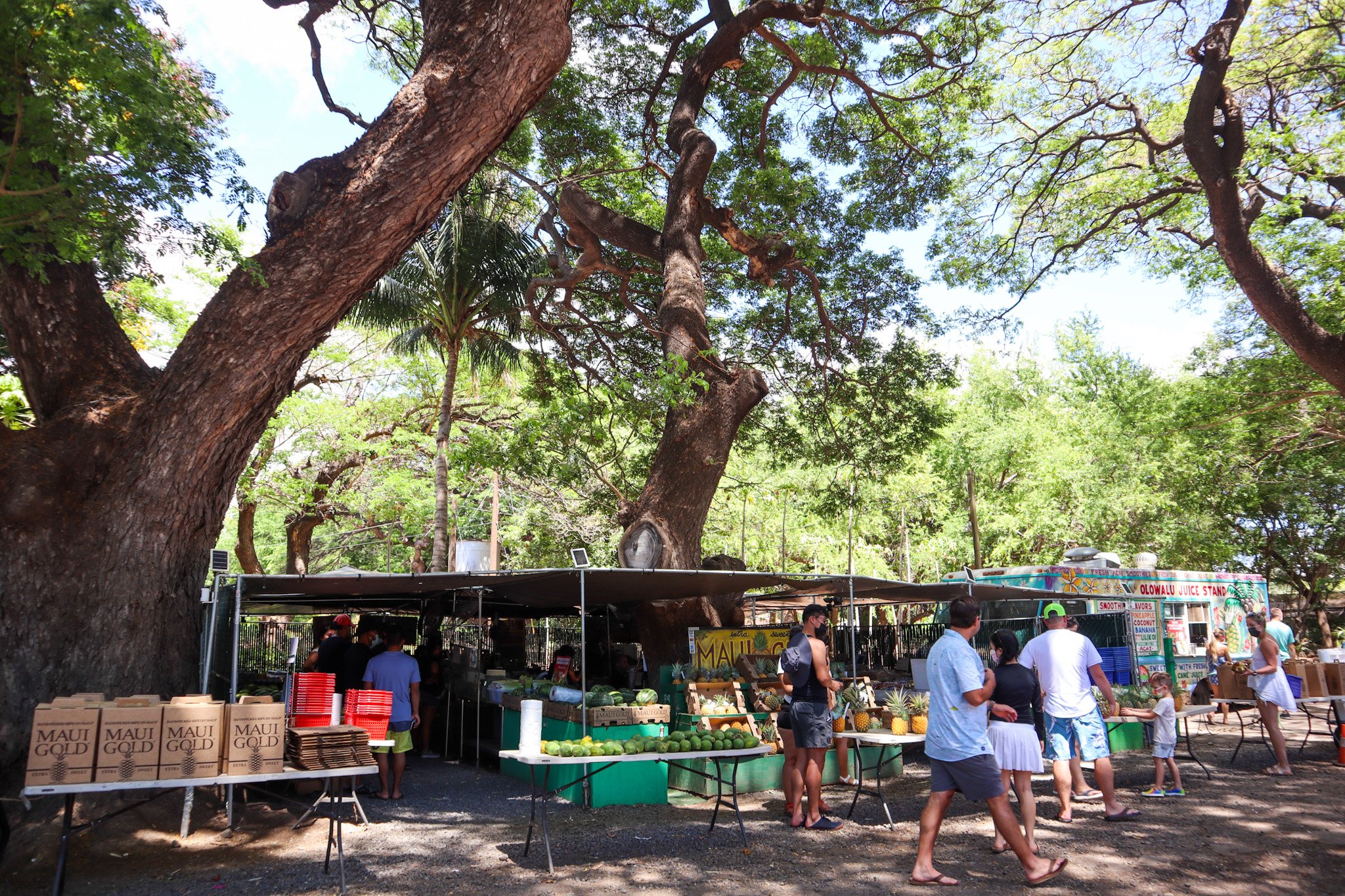 Our 7 Favorite Maui Farmers Markets & Local Fruit Stands