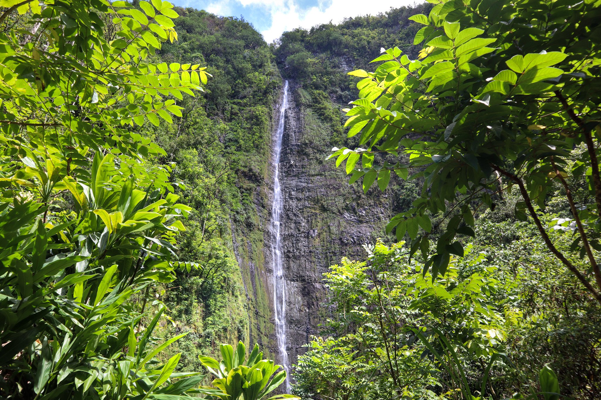 Bamboo Forest Maui Fun Hike to the 400 Foot Waterfall