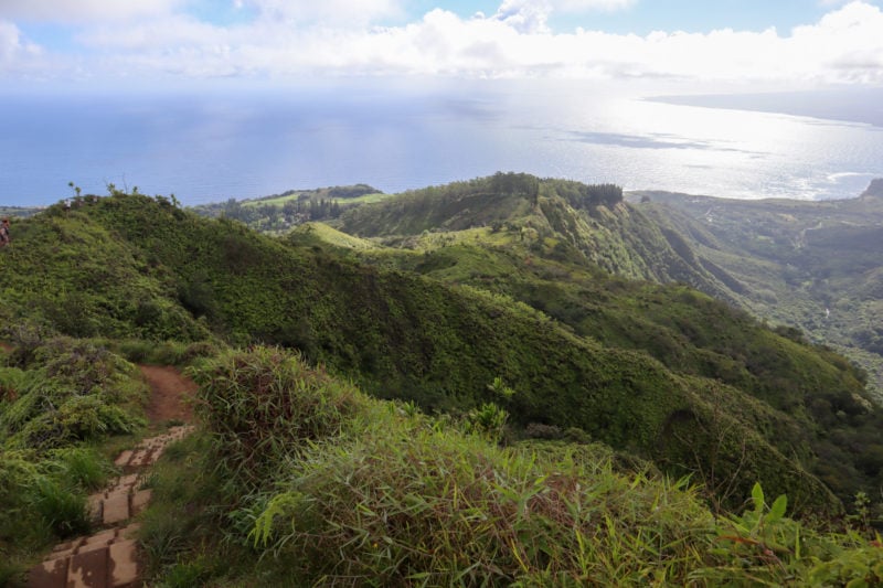Maui tsunami warning map