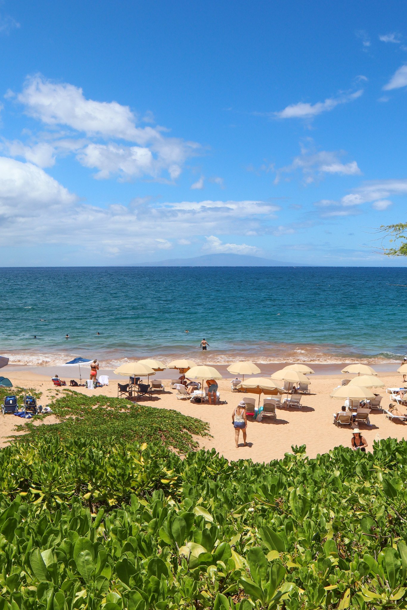 Arriving in Maui Hawaii