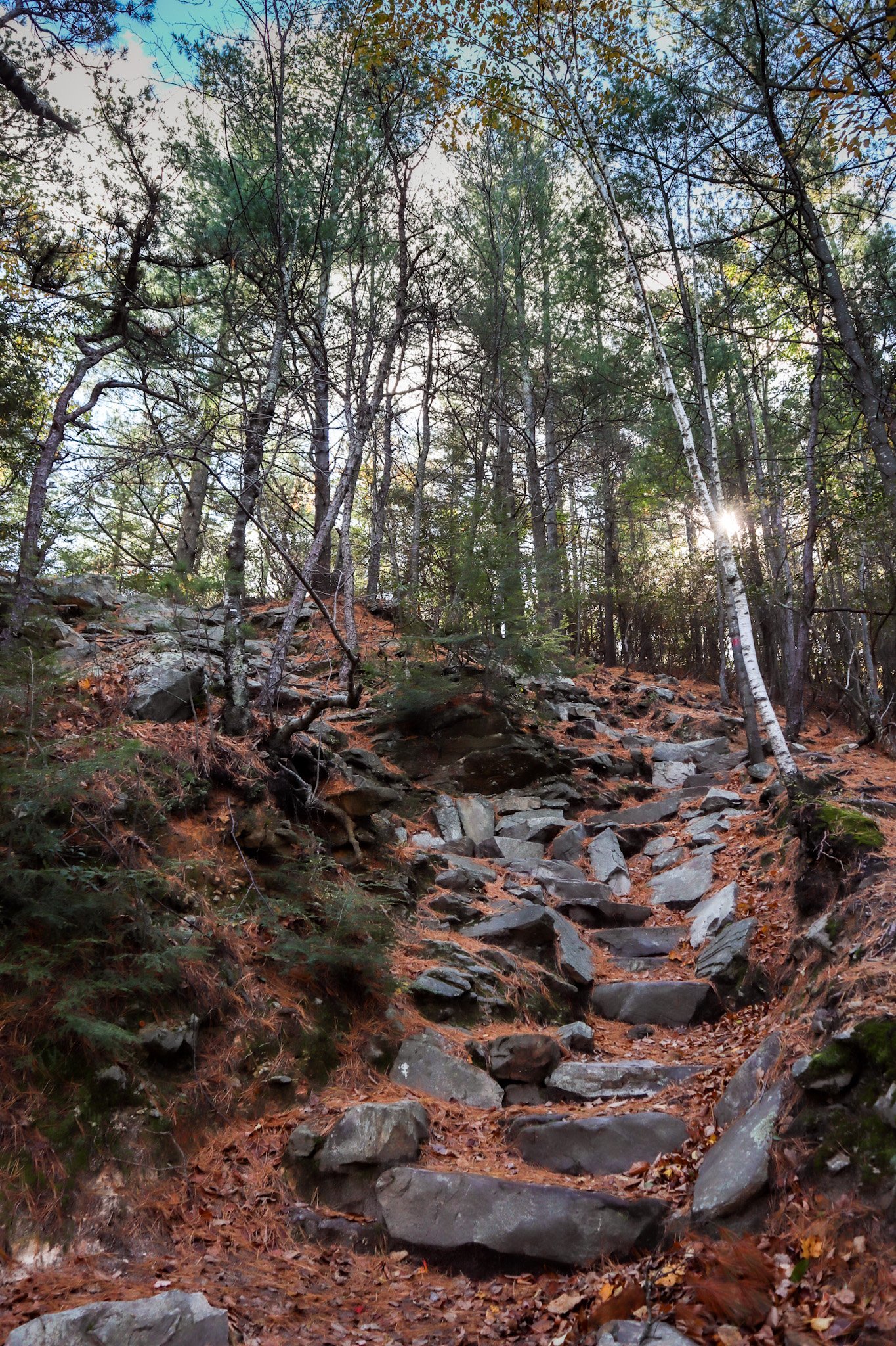 Monument Mountain Trail
