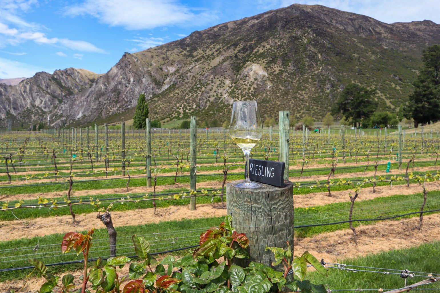 18 Fun Things to do in Queenstown On Your First Visit