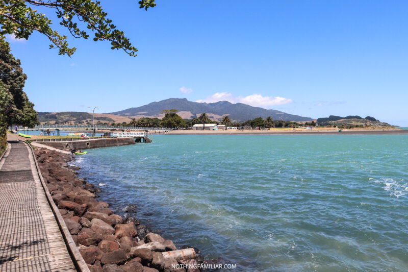 8 Best Things to Do in Raglan New Zealand On Your First Visit