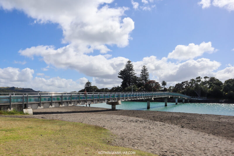 8 Best Things to Do in Raglan New Zealand On Your First Visit