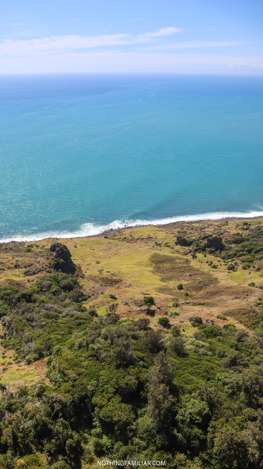 8 Best Things to Do in Raglan New Zealand On Your First Visit