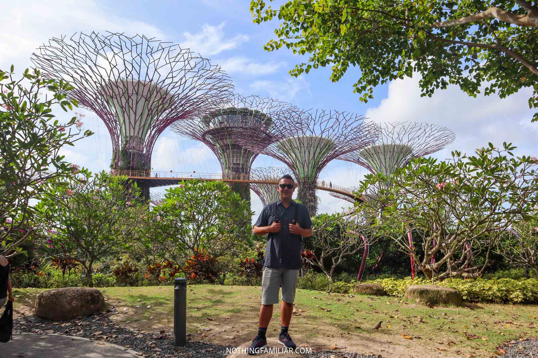 How to Walk the OCBC Skyway at Supertree Grove