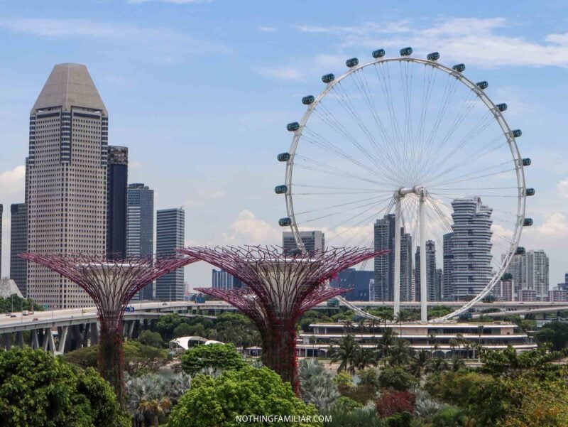 How to Walk the OCBC Skyway at Supertree Grove