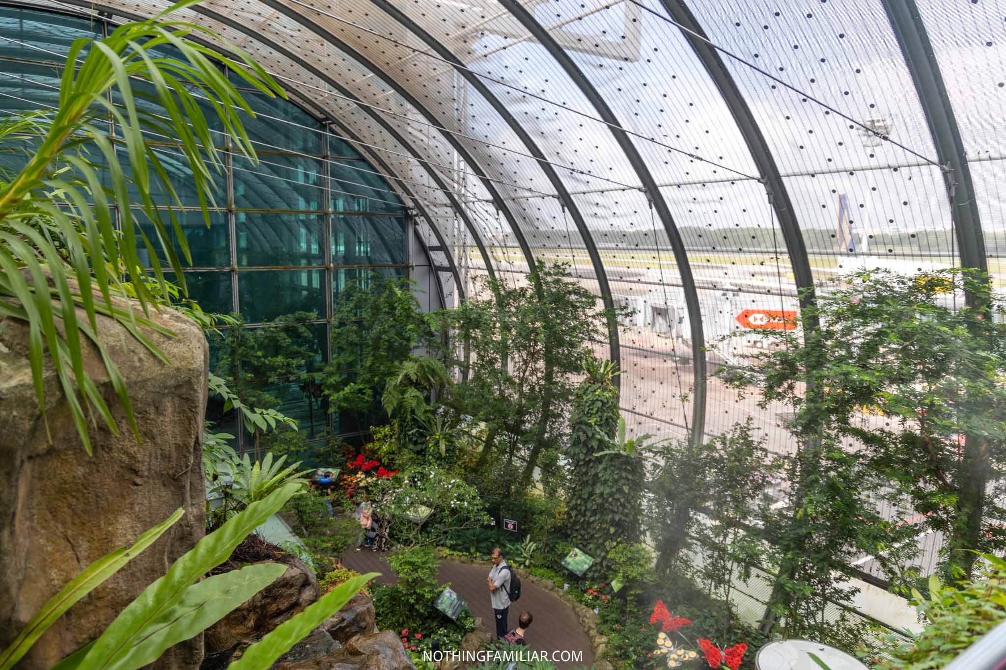How to Visit the Beautiful Singapore Butterfly Garden at the Airport!