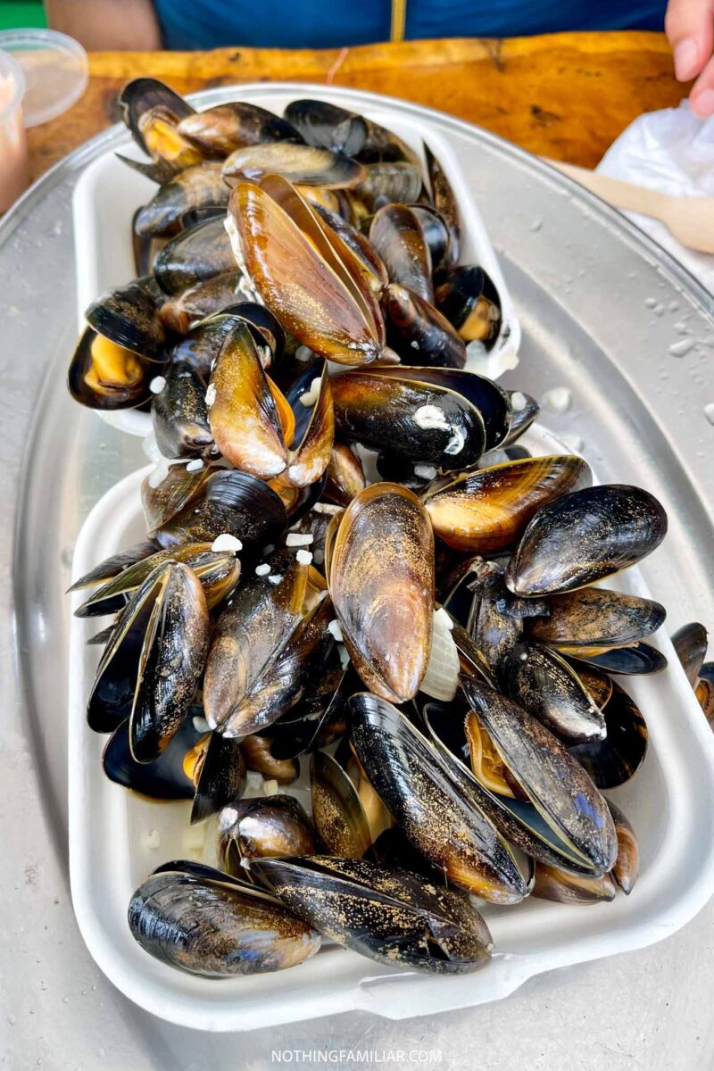 Oban Adventures: Diving into the Seafood Capital of Scotland!