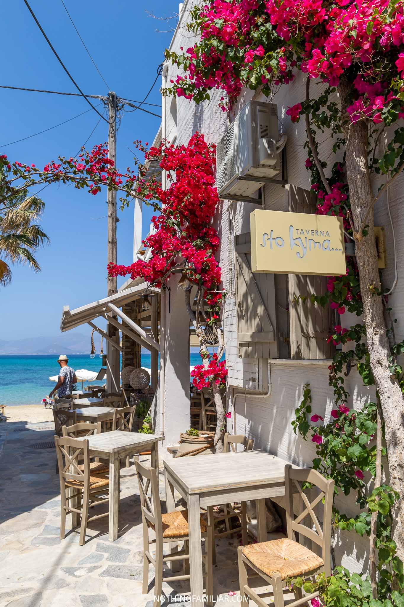 Bar with Flowers
