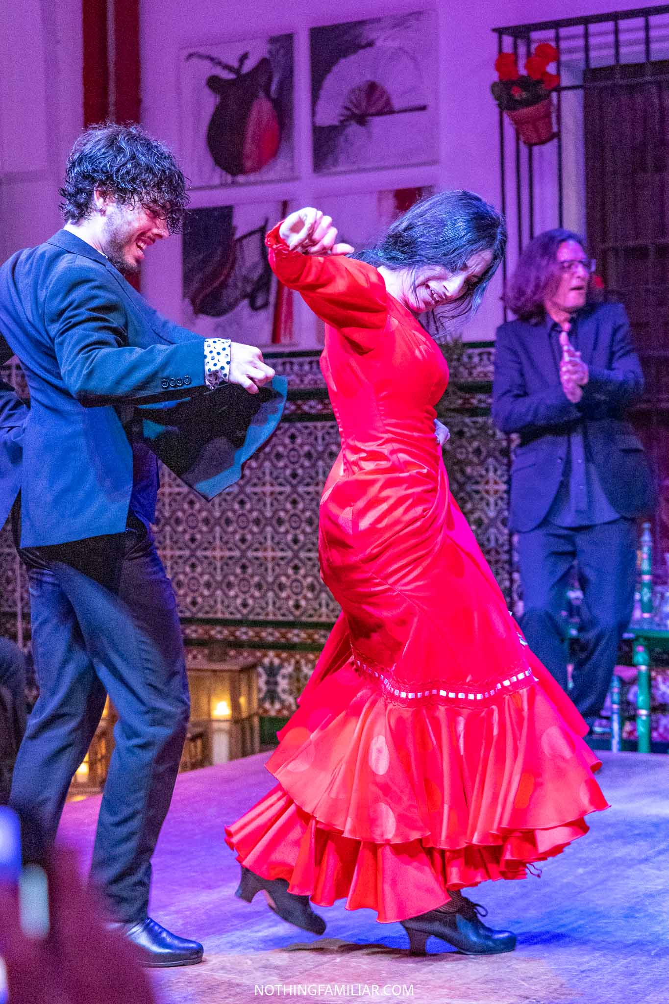 Flamenco Show