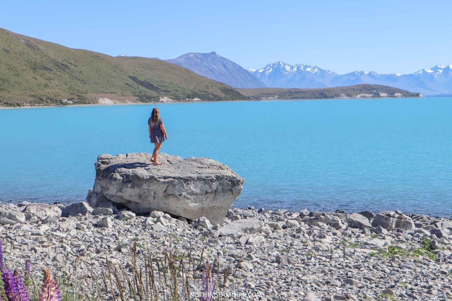 Best New Zealand outfits